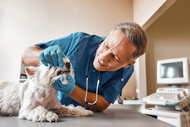 Best Emergency Wisdom Tooth Extraction in Columbia, MS