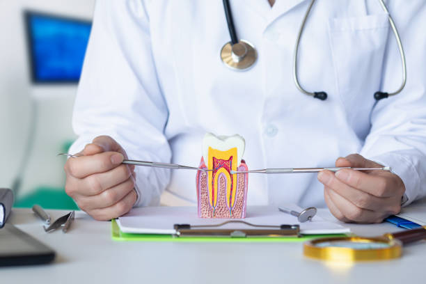 Best Broken or Chipped Tooth Repair in Columbia, MS